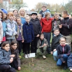 Święto Drzewa